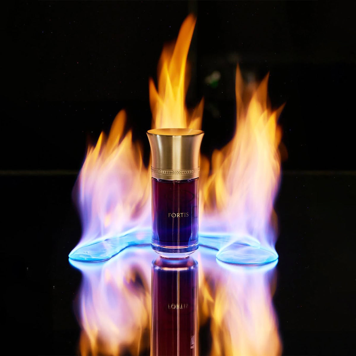 Fortis - Liquides Imaginaires - 100ml