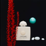 Love Tuberose - Amouage - EDP 100ml