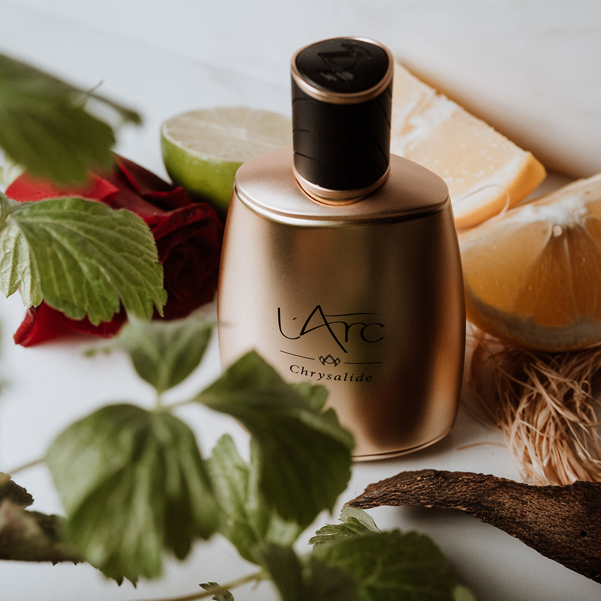 Chrysalide - L'Arc - EDP 100ml