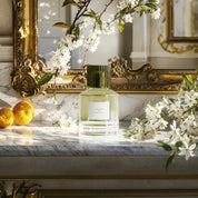 Absolu - TRUDON - EDP 100 ML