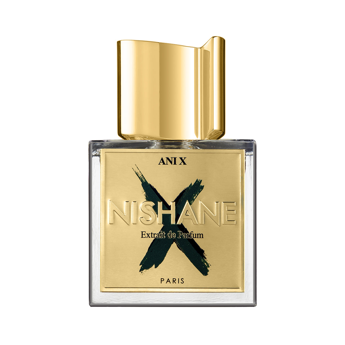 AniX100_1.jpg