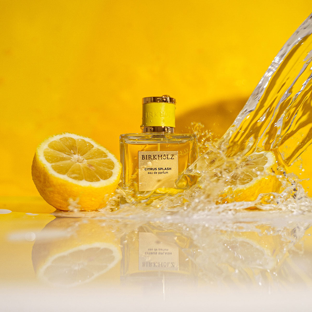 CITRUS-SPLASH_C.jpg