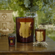 Cire - TRUDON - Vela 70 g