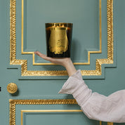 Ernesto - Trudon - Vela 800 G