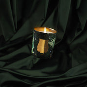 Fir - Trudon - Vela 270g