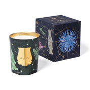 Fir - Trudon - Vela 800g