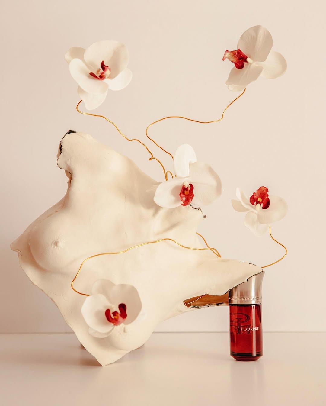 Les_Eaux_Imaginaires_-_Ile_PourpreA_rare_perfume_the_inaccessible_faraway_voyage._Ile_Pourpre_h.jpg