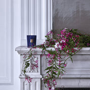 Maduraï - Trudon - Vela 70 G