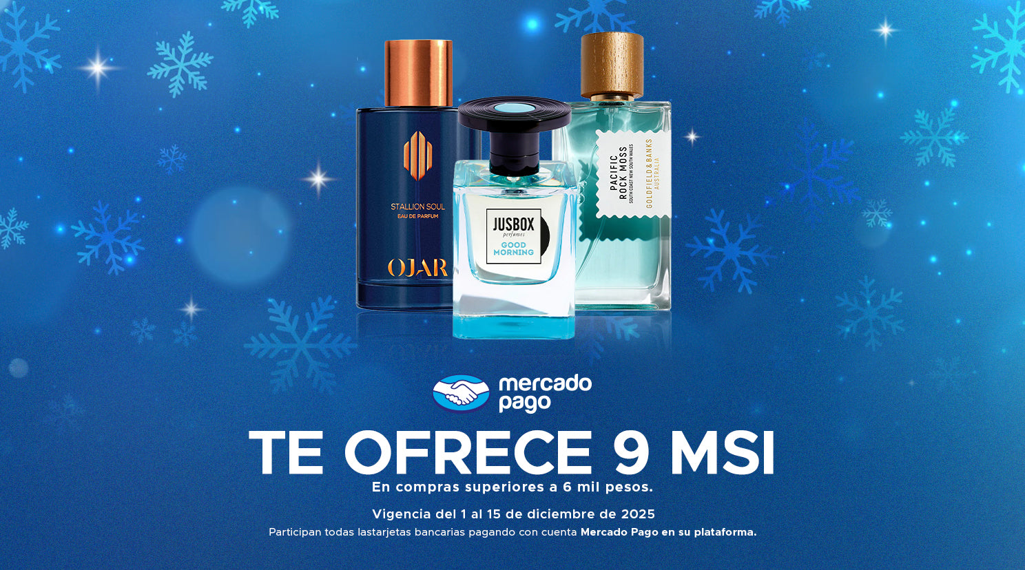 Mobilenuevo_mp_709a4667-1024-4c9d-a425-3830a5c93da1.jpg
