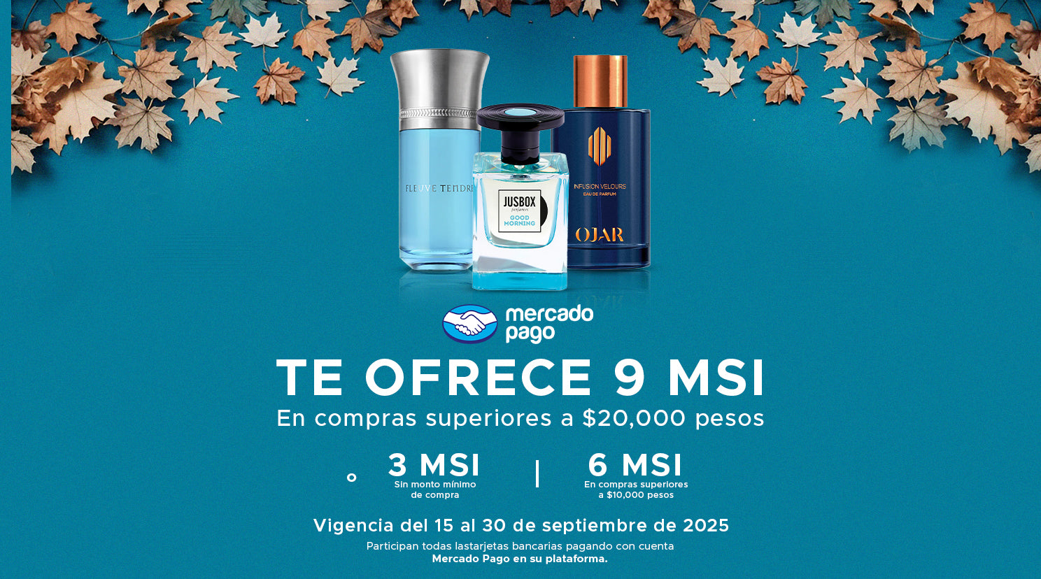 Mobilenuevo_mp_93551e8b-5fb9-45ba-9348-7a1df28b8fbc.jpg