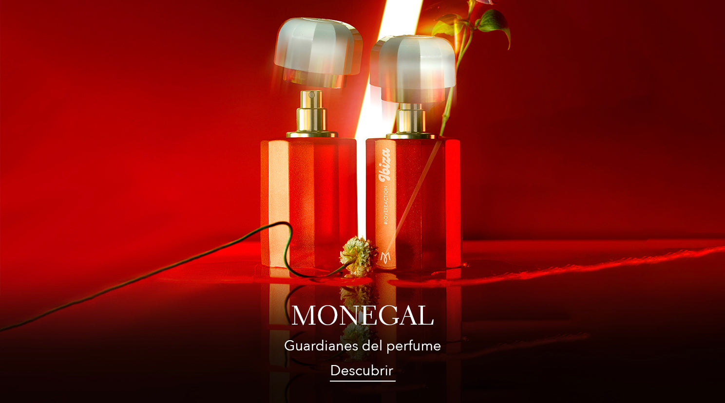 Monegal1.jpg