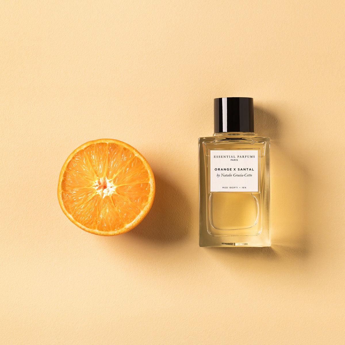OrangeXSantal_C2.jpg