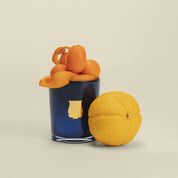 Reggio - Trudon - Vela 70 G