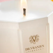 Pearl Ginger Lime - Dr. Vranjes - Vela 200 grs