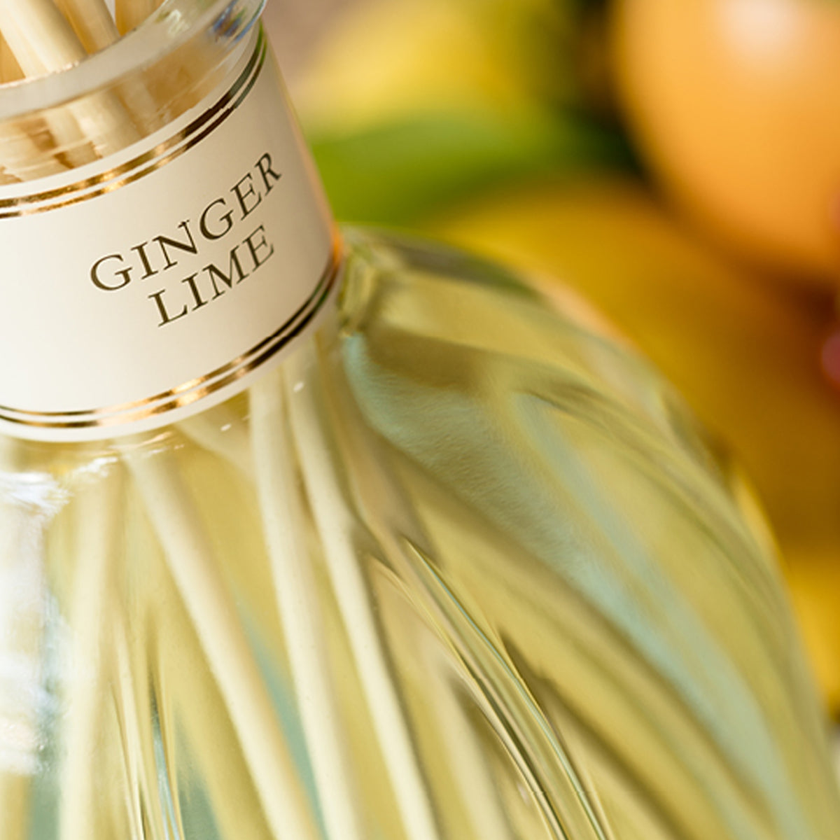 Ginger Lime - Dr. Vranjes - Difusor 500 ml