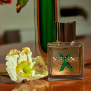 Ani X - NISHANE - EP 50 ml