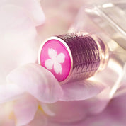 My Sweetest Morphine - EX NIHILO - EDP 100ML