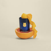 Salta - Trudon - Vela 70 G