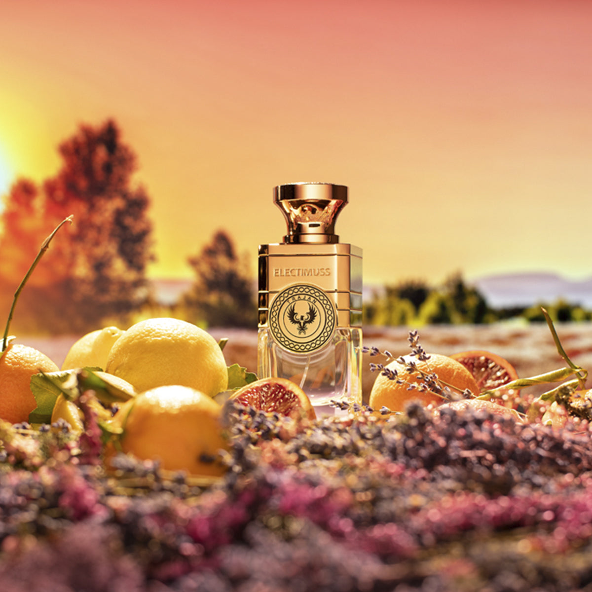 Trajan - Electimuss London - EP 100 ml