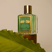 Un Parfum D'aventure - L.T. Piver - EDP 100 ml