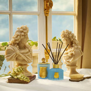 Versailles Collection Diffusor - TRUDON - 350ml