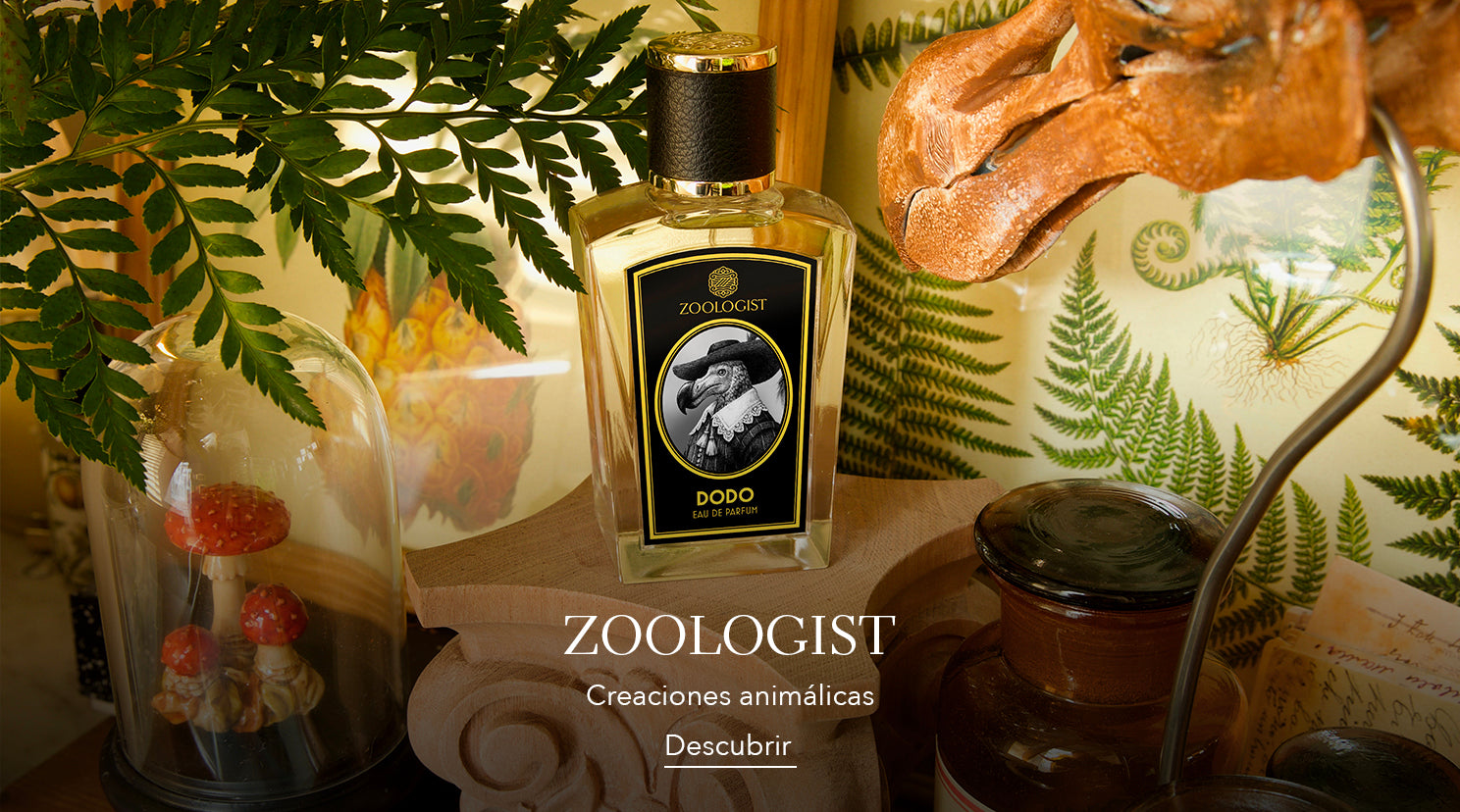 ZOO1.jpg