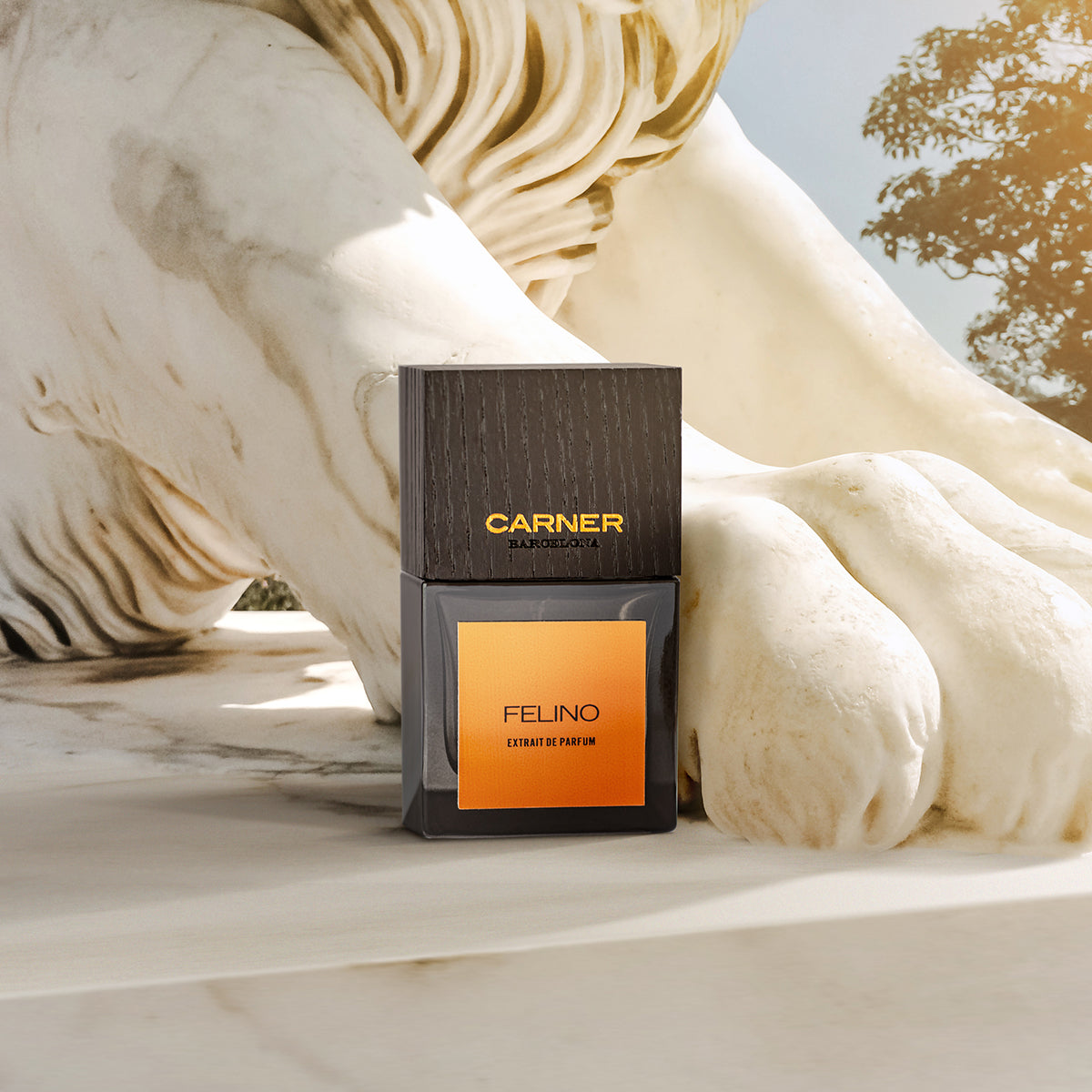Felino - Carner Barcelona - EP 50ml