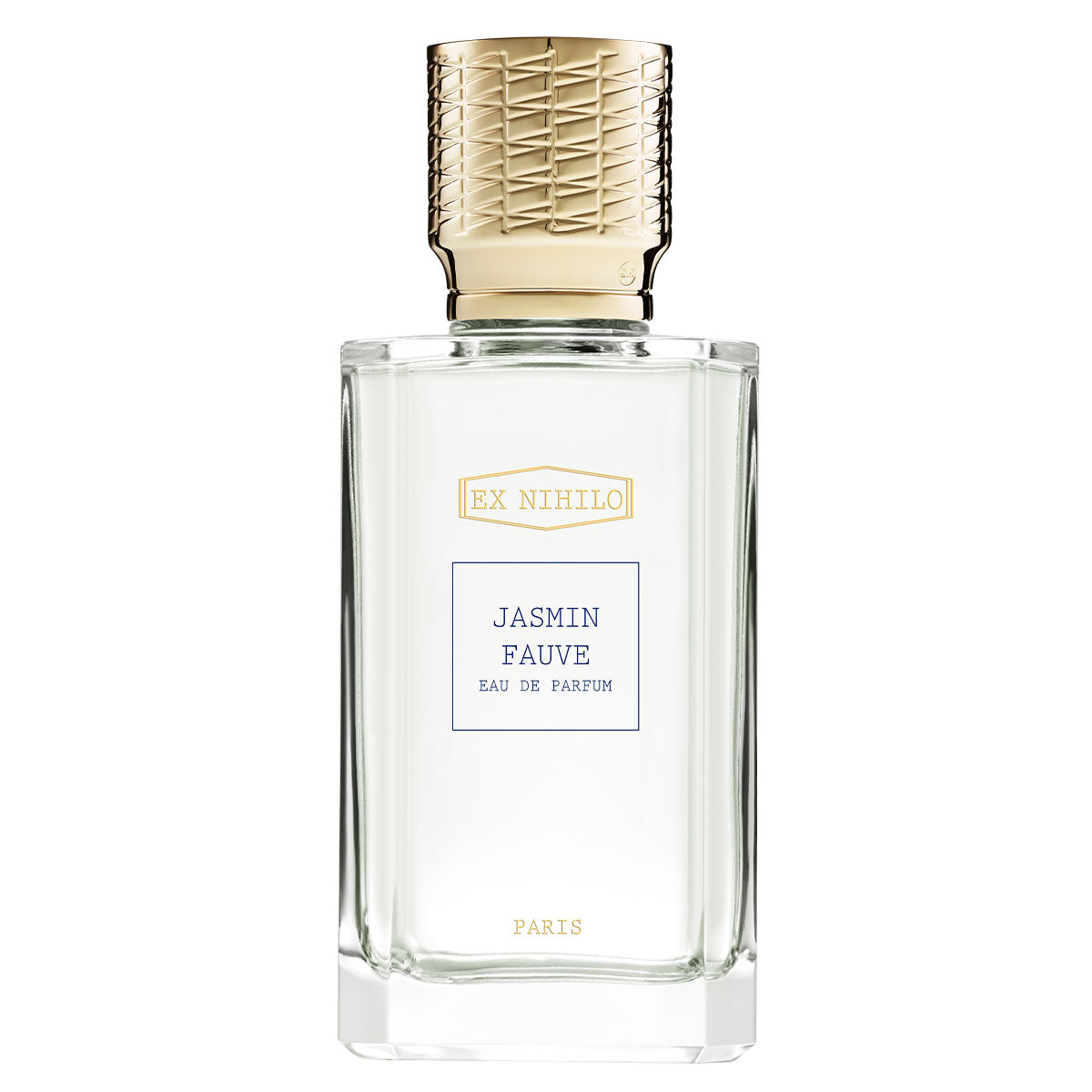 JASMIN-FAUVE_A.jpg
