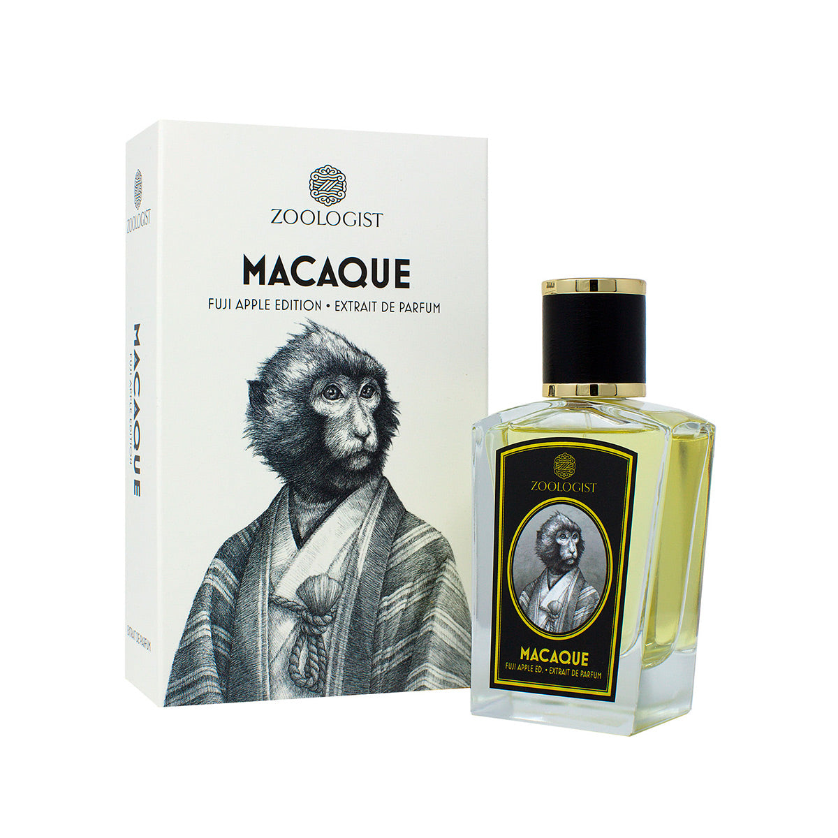 MACAQUE-BOX-1.jpg