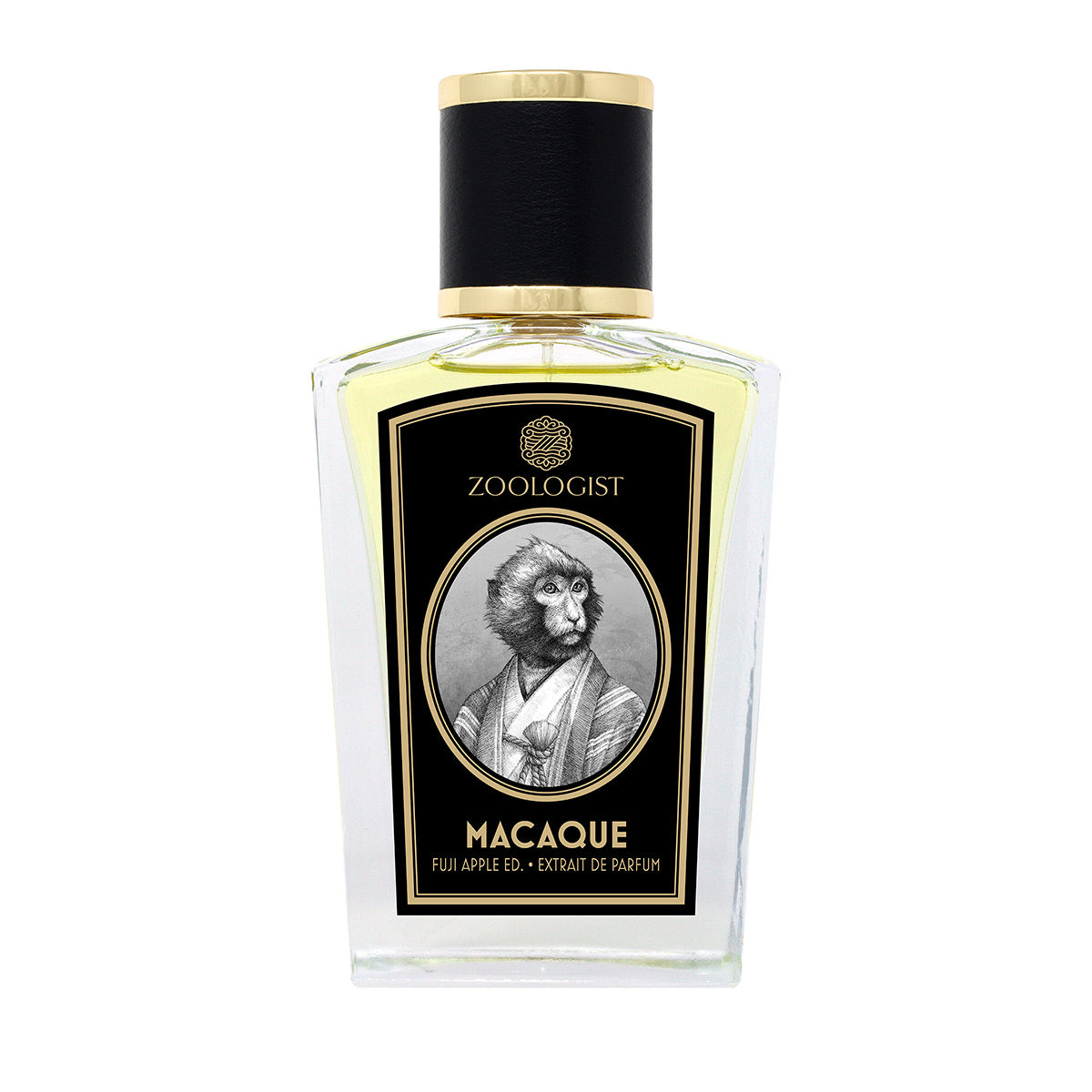 MACAQUE.jpg