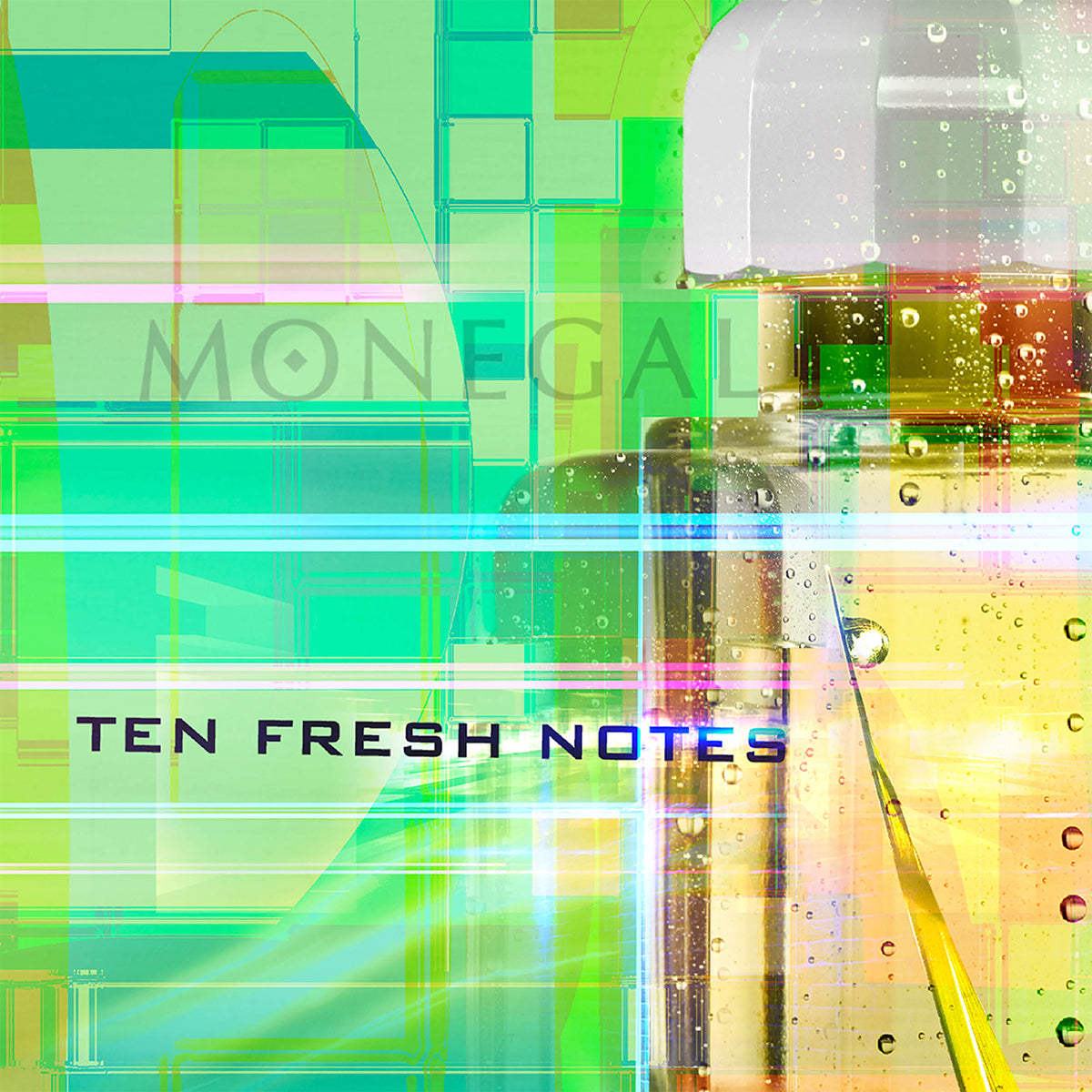 Ten Fresh Notes - Ramon Monegal - EDP 100ml