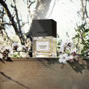 Tardes - Carner Barcelona - EDP 100ml