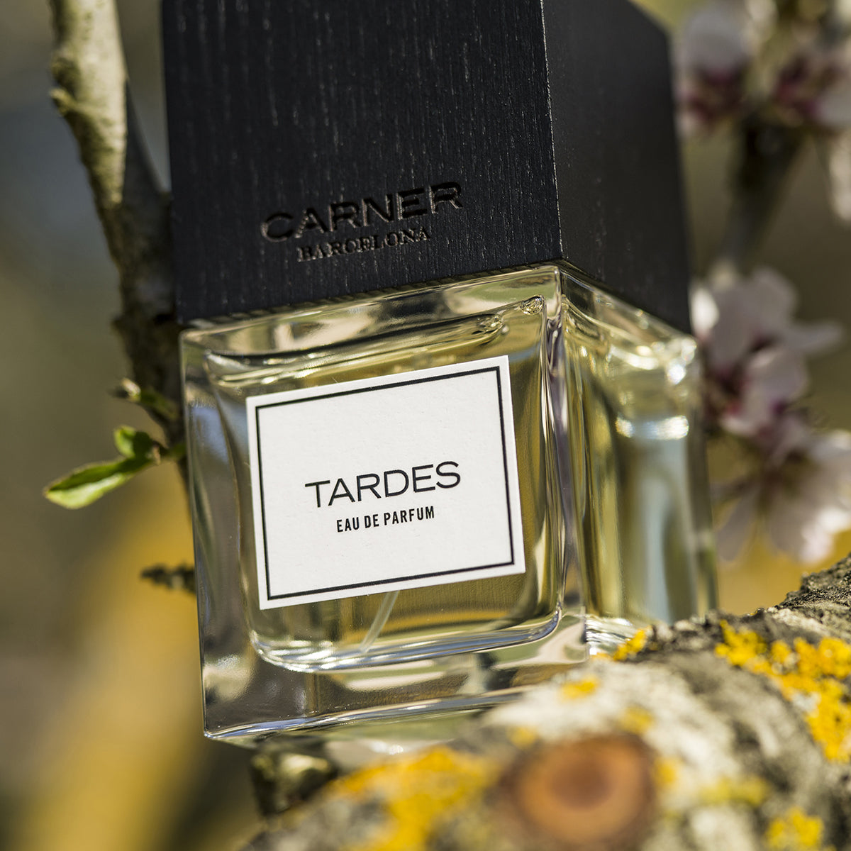 Tardes - Carner Barcelona - EDP 100ml