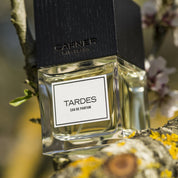 Tardes - Carner Barcelona - EDP 100ml