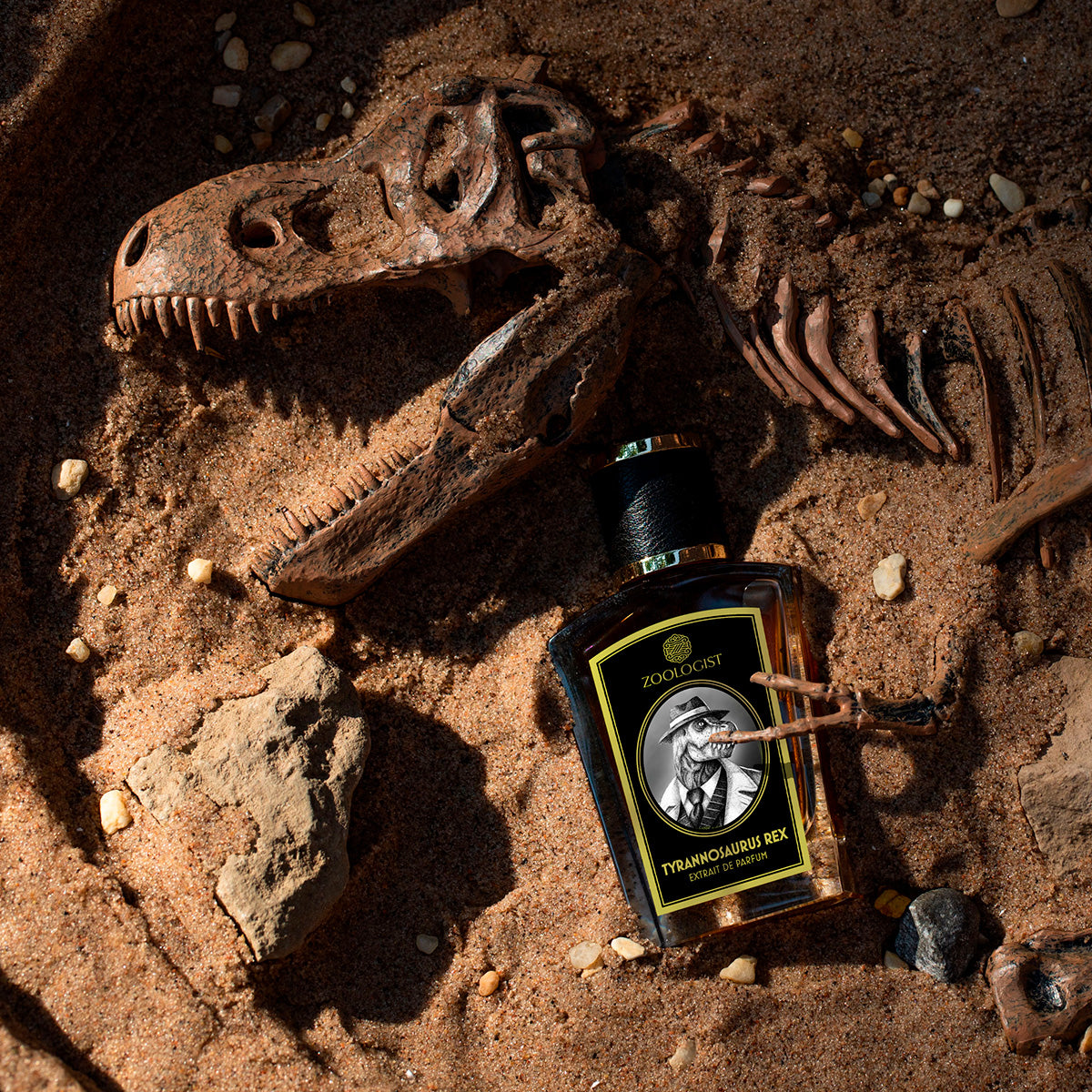 Tyrannosaurus Rex Zoologist EP 60ml – Maison Peony